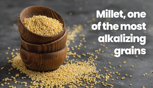 Millet is One of the Most Alkalizing Grains you can Eat