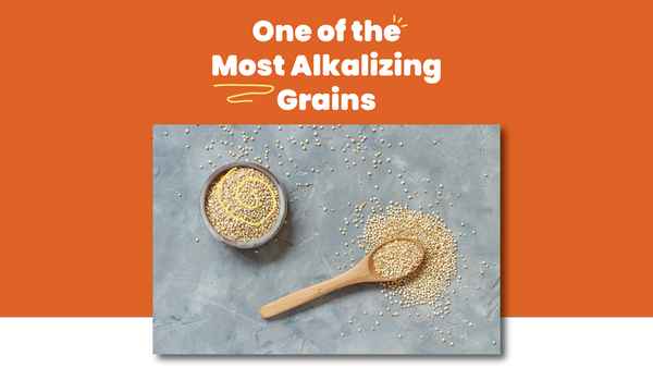 Millet is One of the Most Alkalizing Grains you can Eat