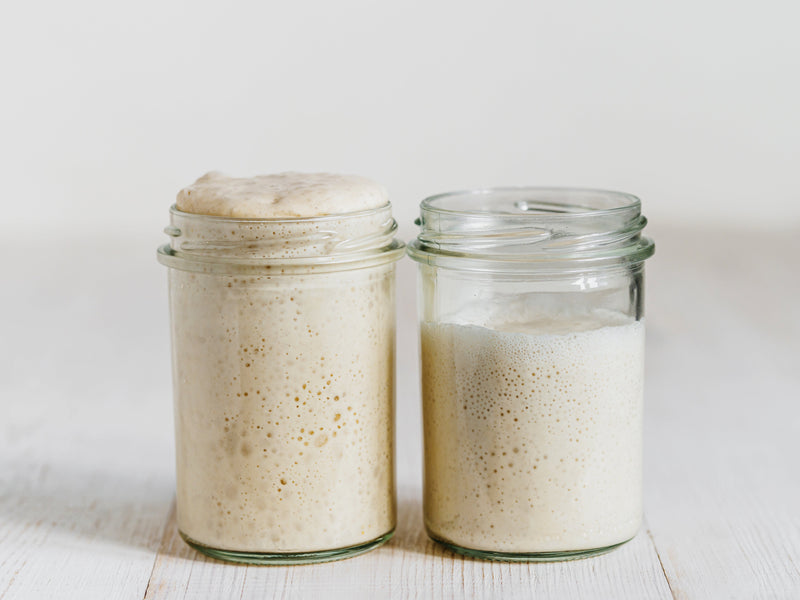 Starting your own Sourdough